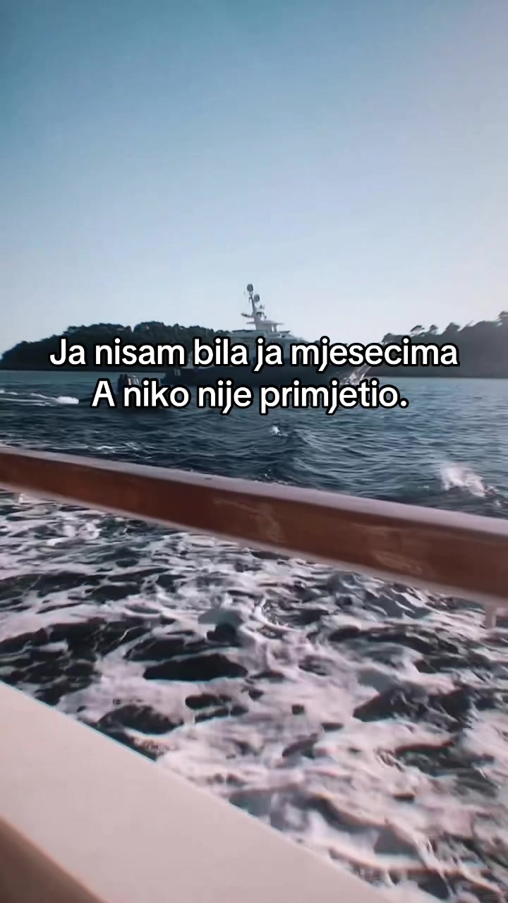 @elvisa515