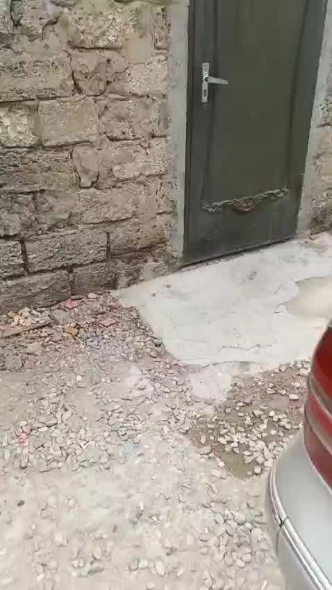 @H&ouml;vsan ev alqı-satqısı Mira🦂