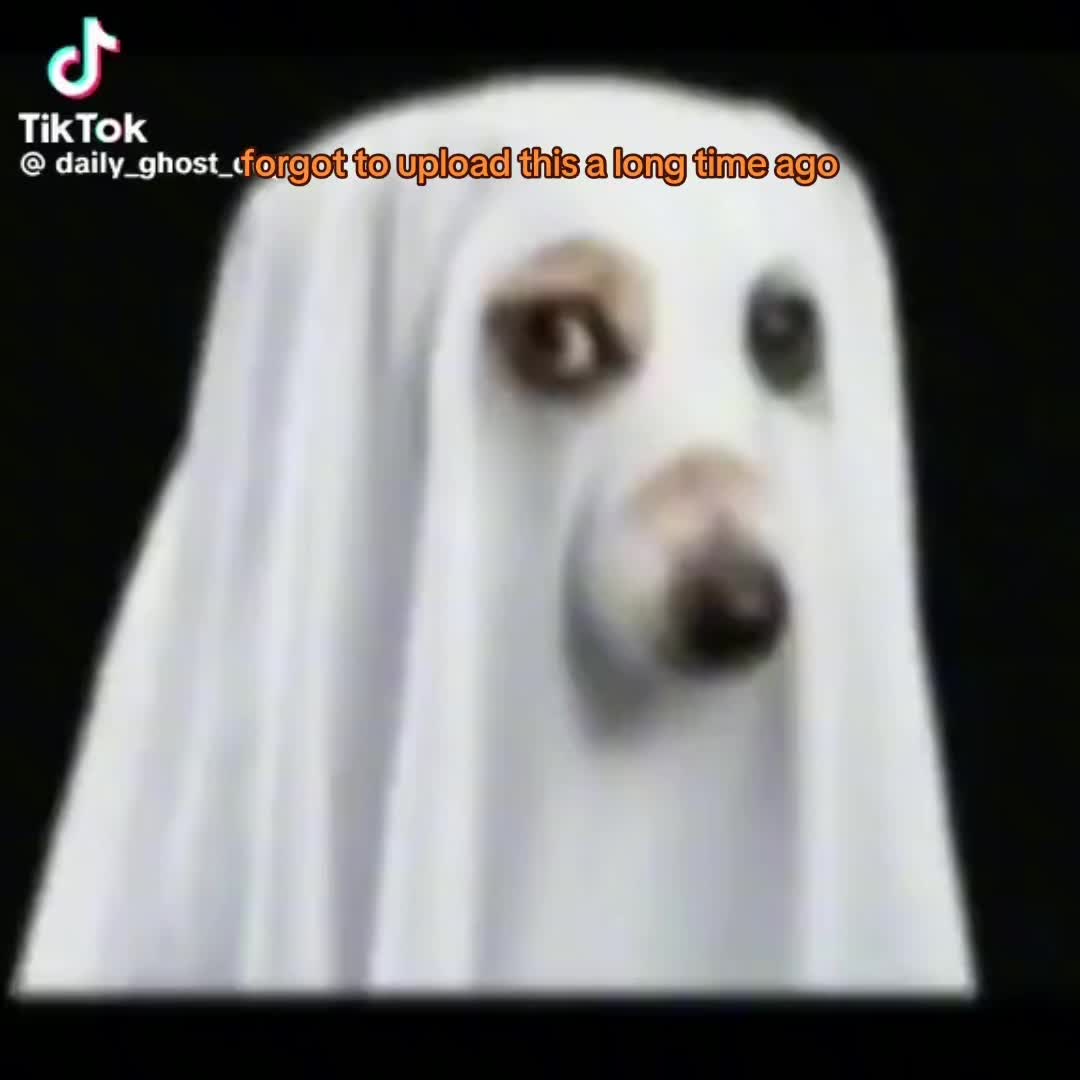 @smatiman