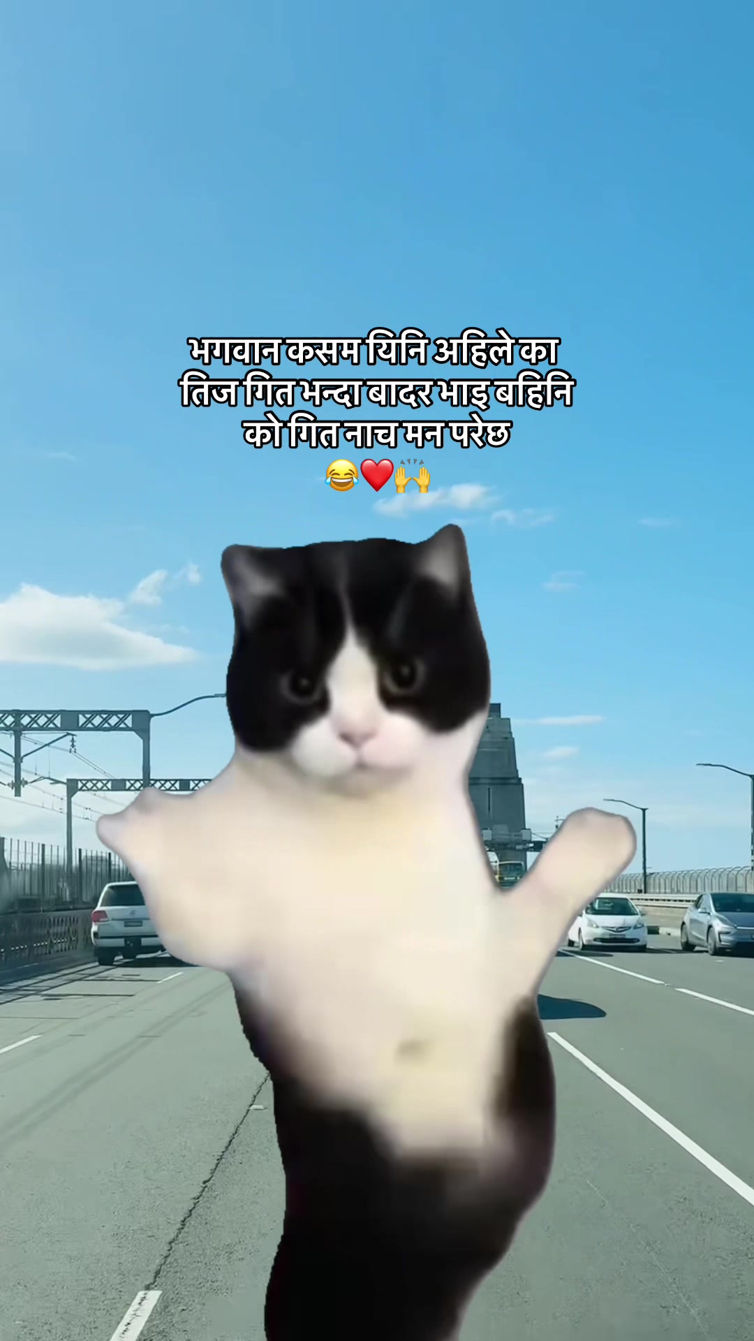 @ЁЯССZoreXЁЯСС