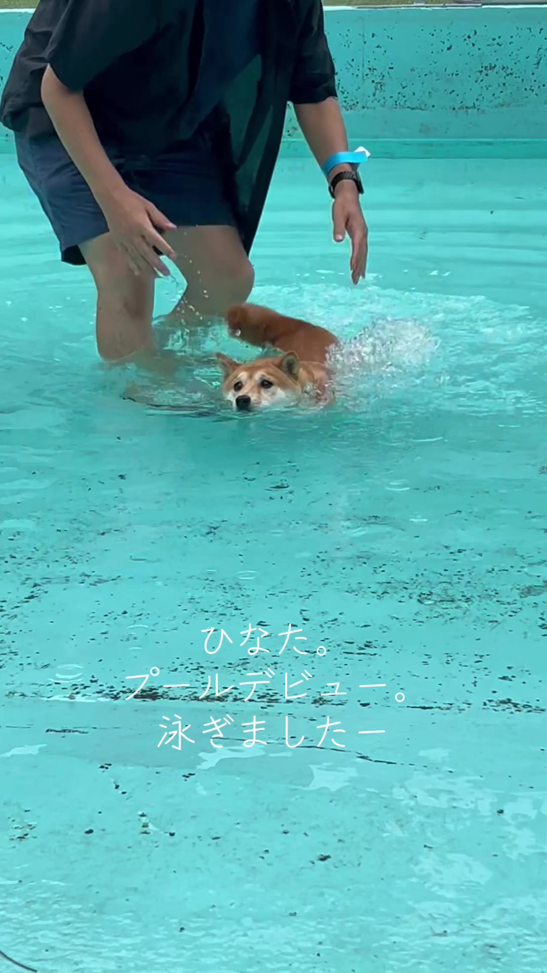 @ひでぽともぽ
