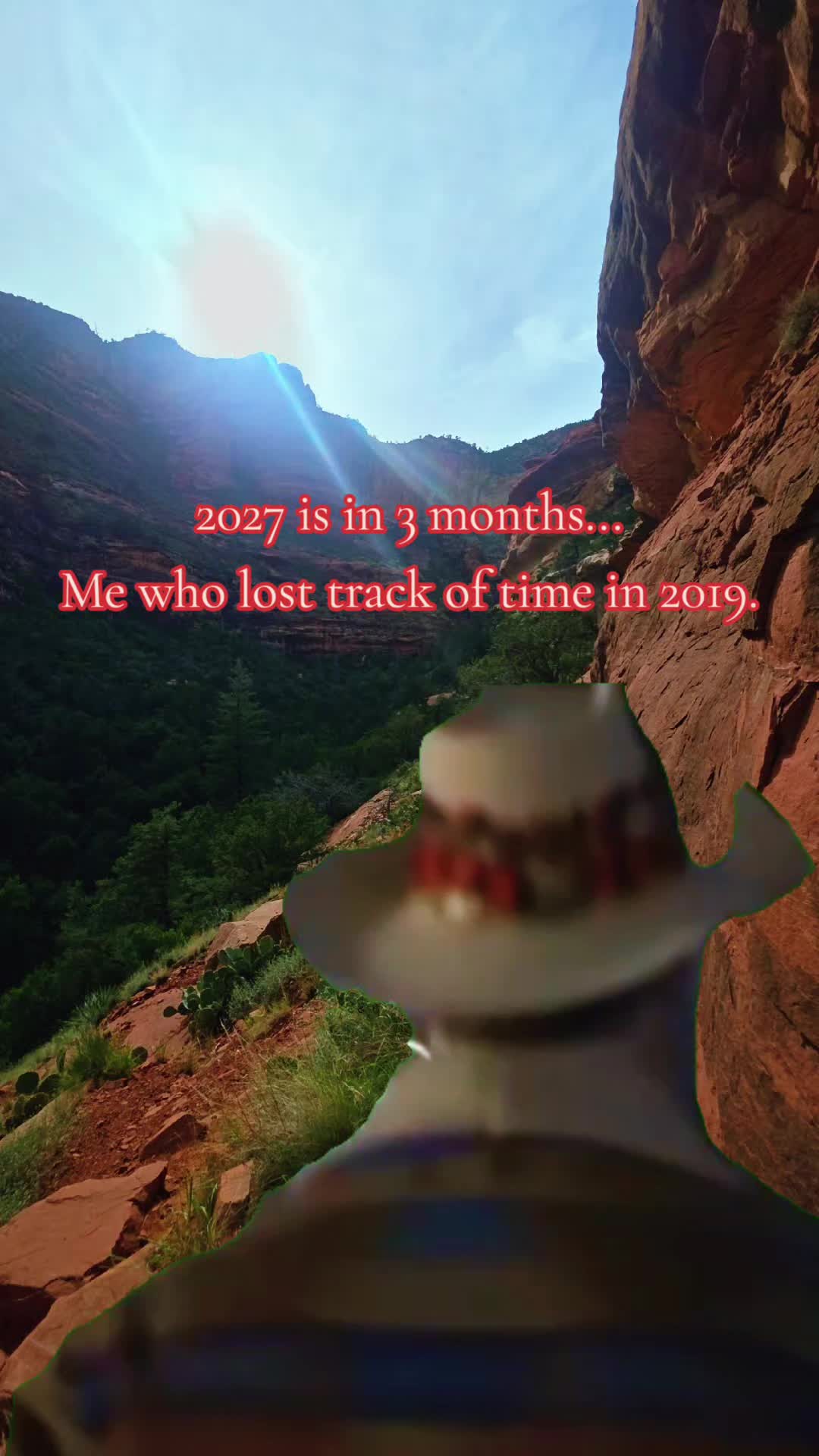 @🌵