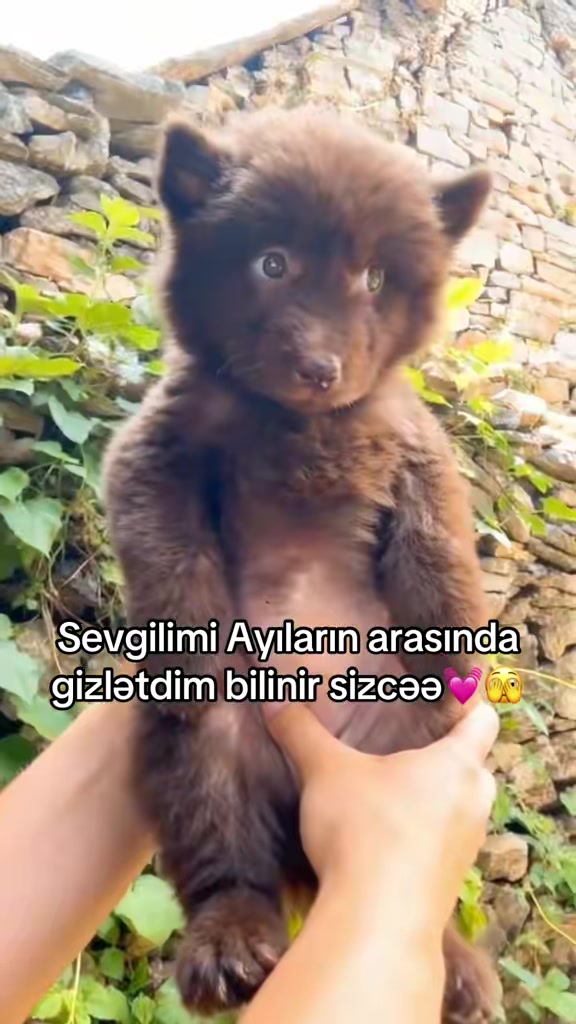 @𝐎𝐫𝐤𝐡𝐒𝐚𝐦❤️&zwj;🔥