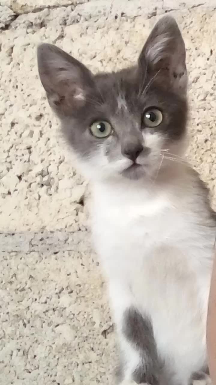 @MARIA ☆😸