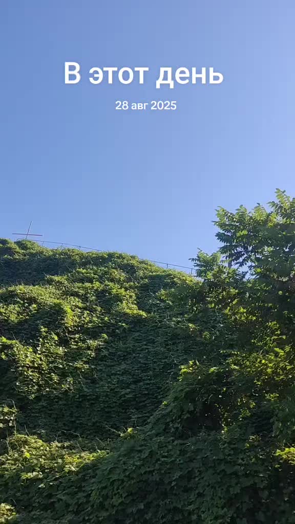@꧁🌸МИ🌸МИ🌸꧂