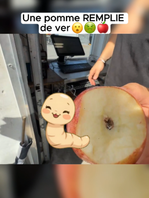 @Math6tvlive