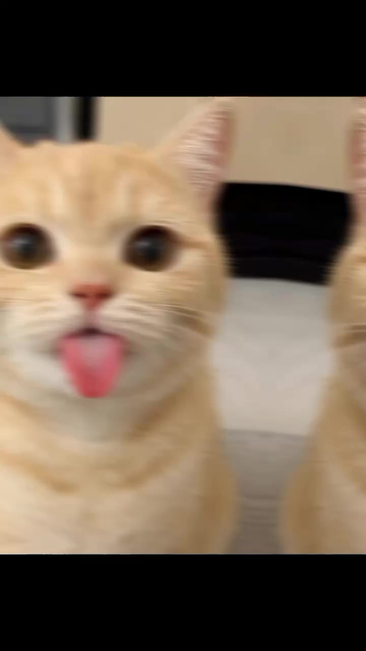 @ᯓ𝐄𝐫𝐚 𝐌𝐢𝐮ᥫ᭡