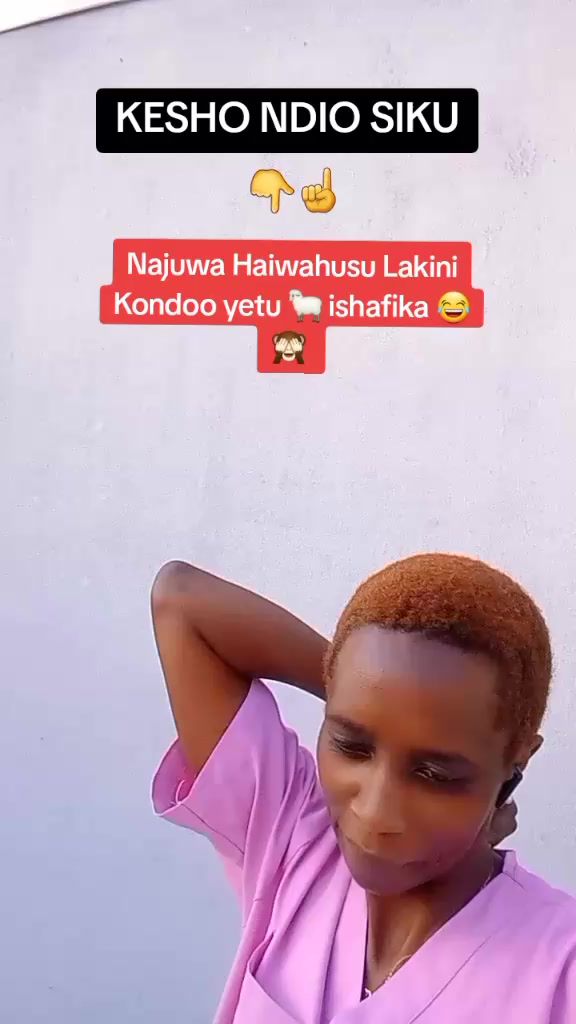 @achibela