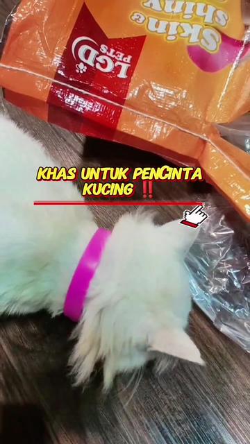 @Norazrena | Racun Tiktok