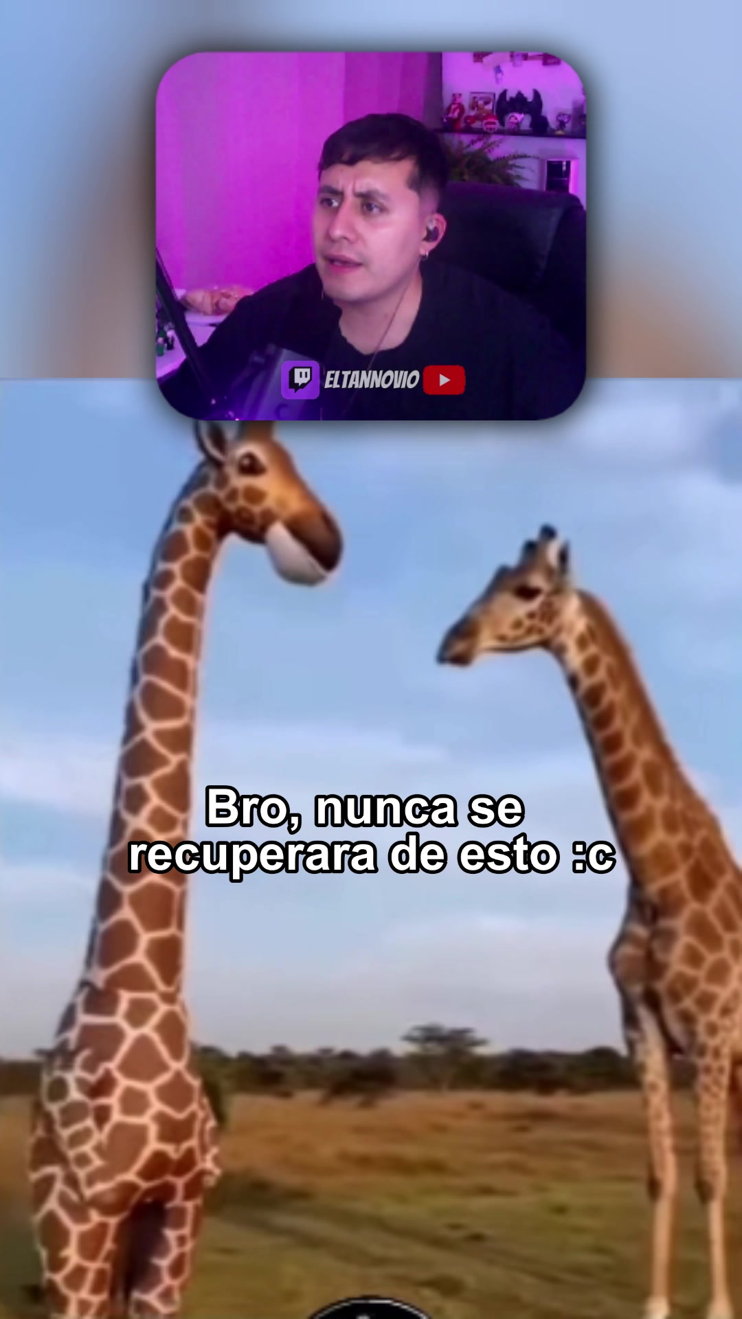 @eltannovio
