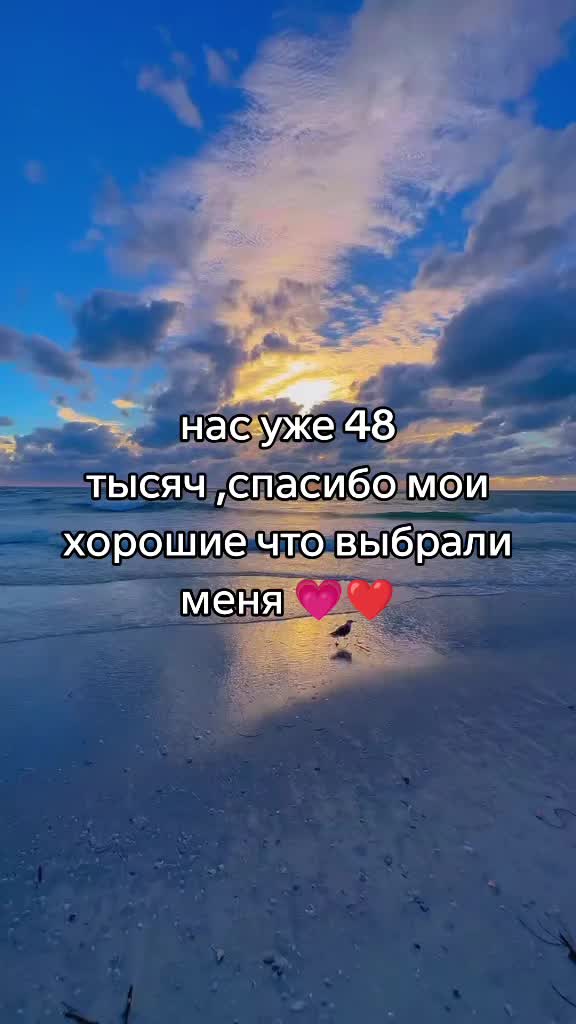 @Tarolog5467