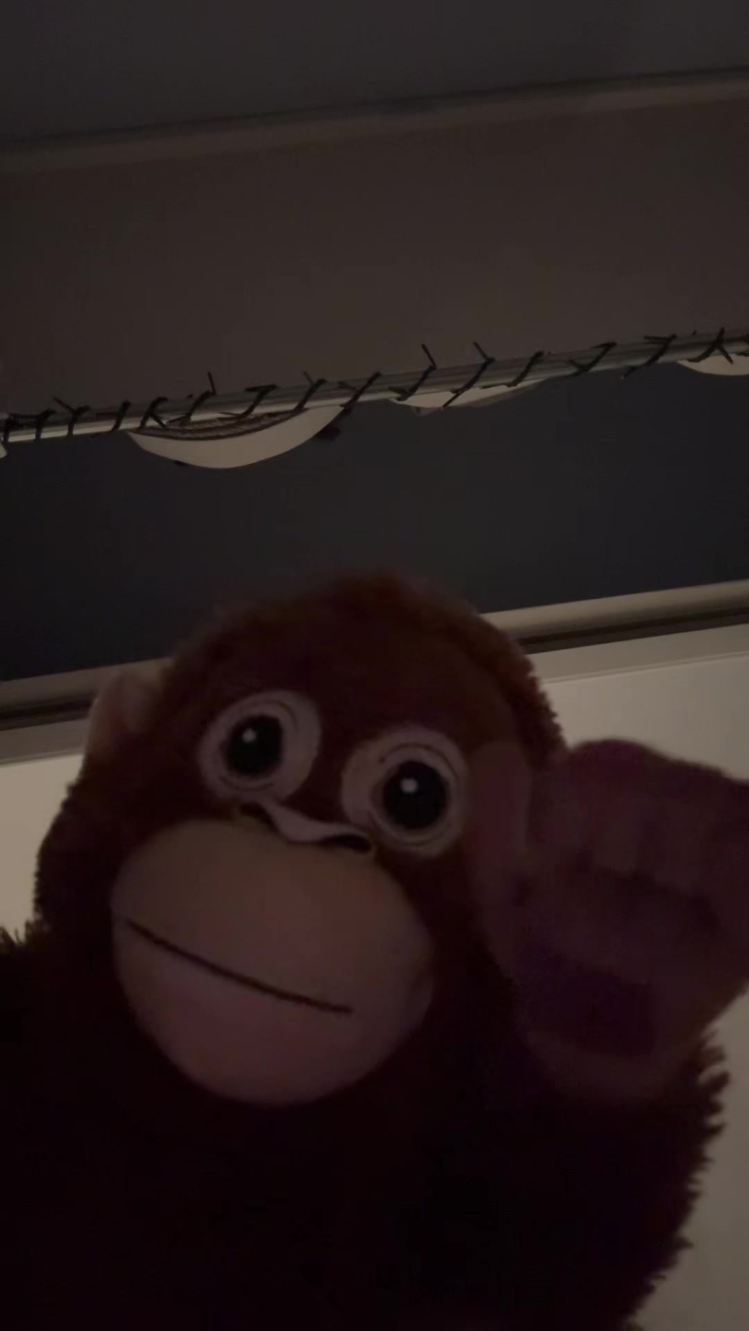 @Ziggy 🐵
