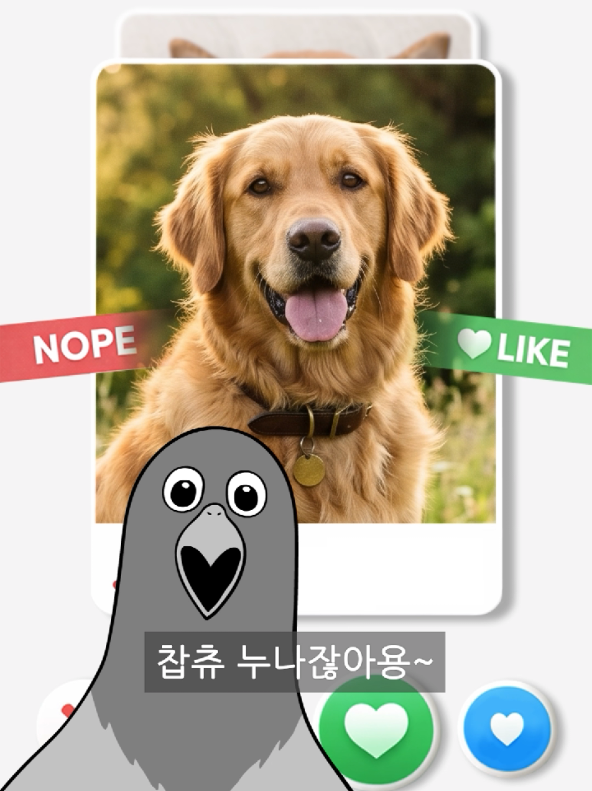 @짤툰