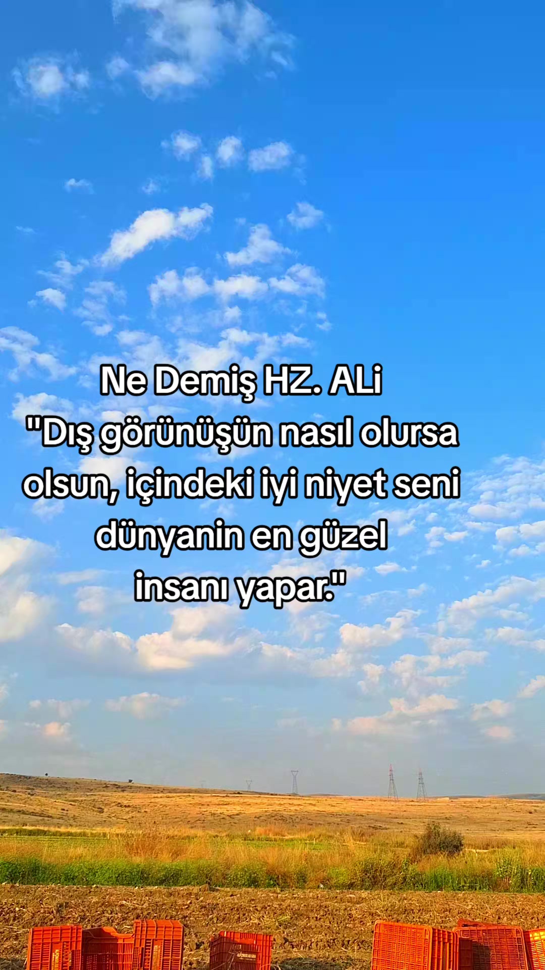 @Bet&uuml;l Halil sağ