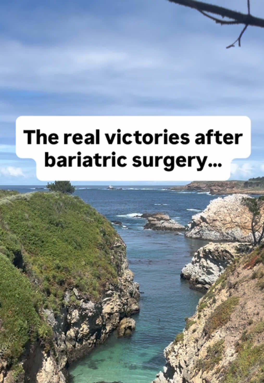 @Dr. Ma | Bariatric Surgeon