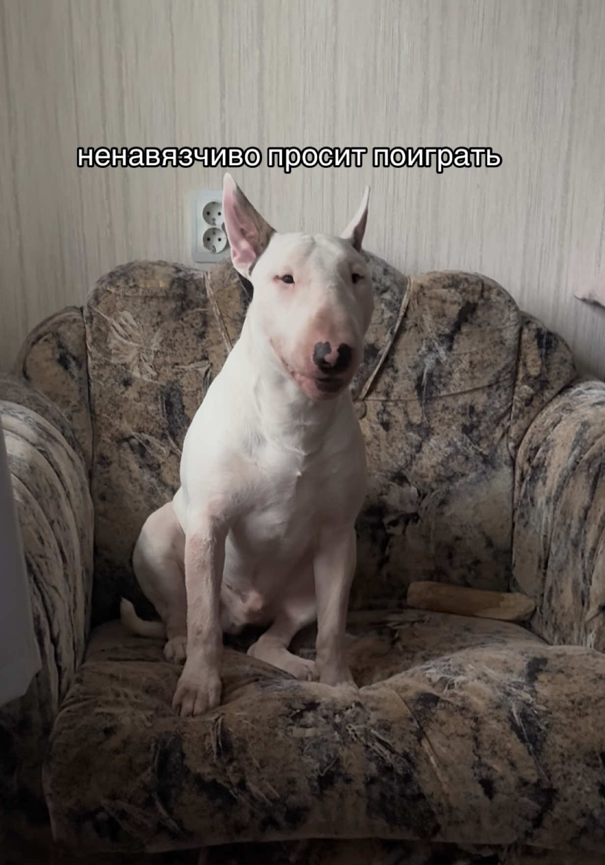 @пикми Ричард