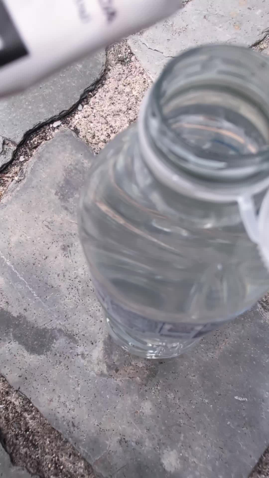 @vanlife