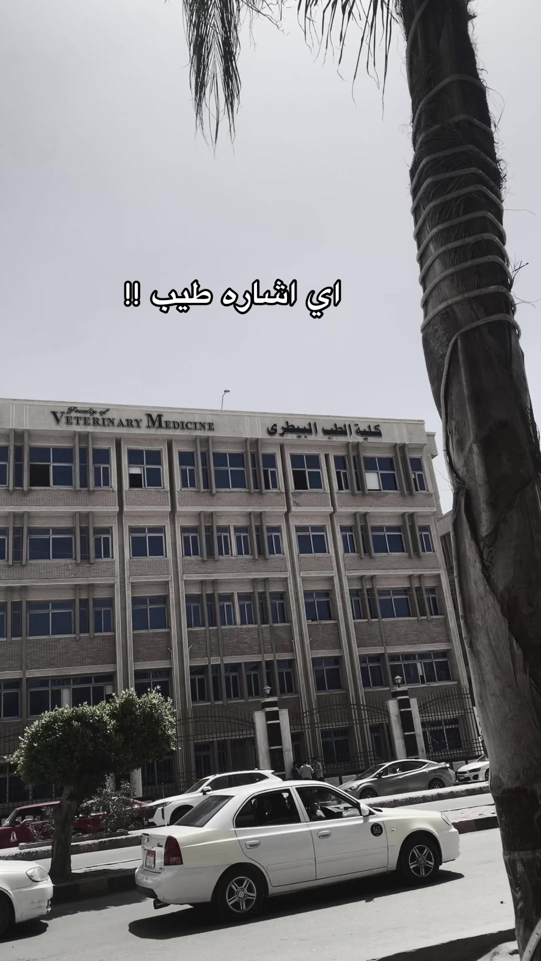 @ۛ ּد. ̨؏ــمۭــڕۏۥ