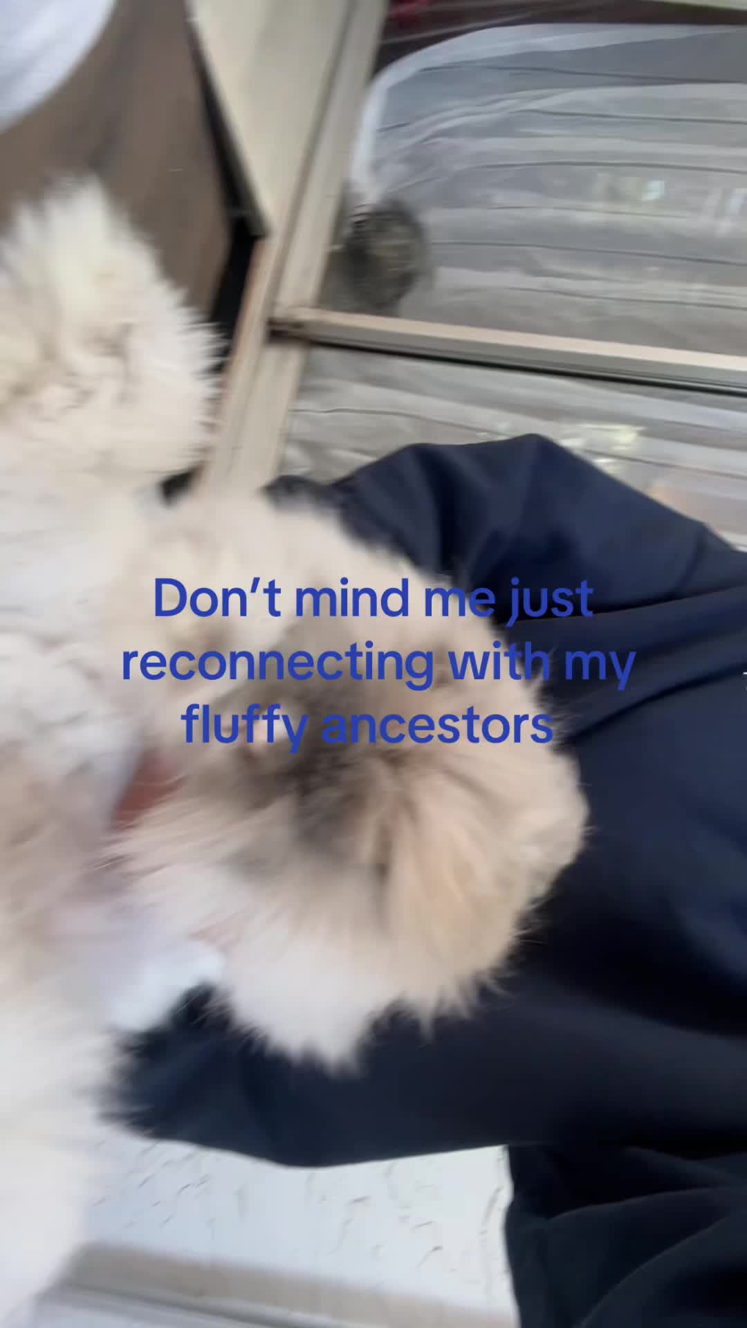 @pinkuchan