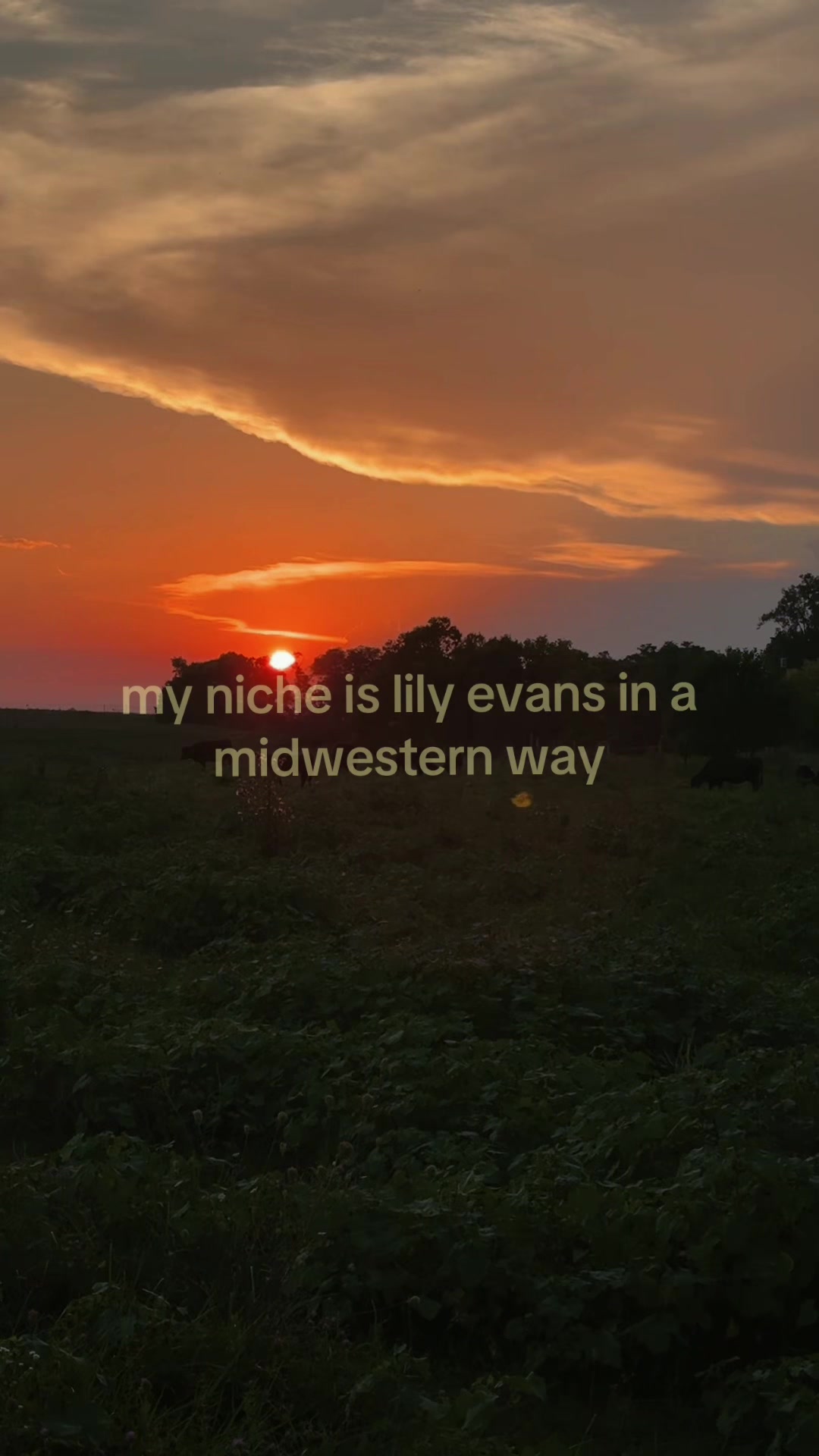 @sarosverse ⚯ ͛