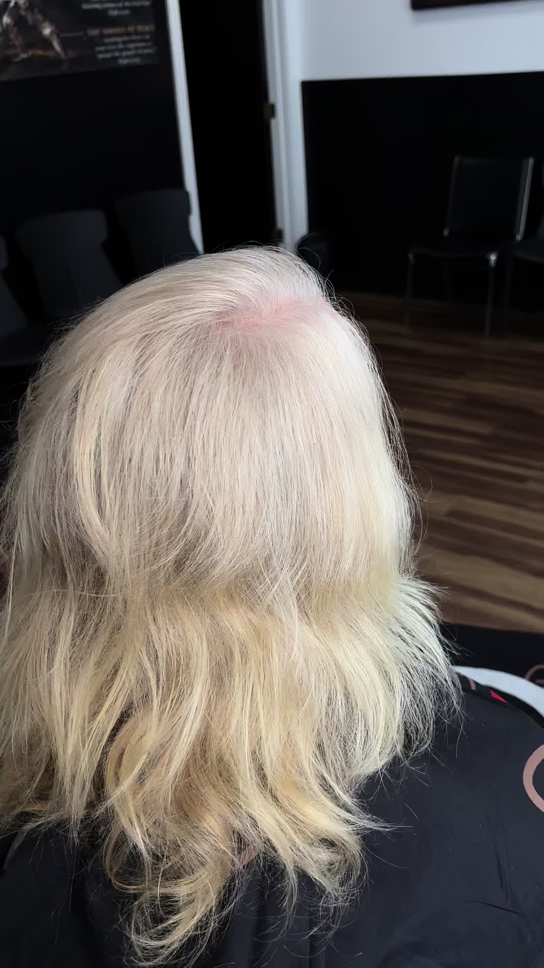 @HollywoodBlendz💈