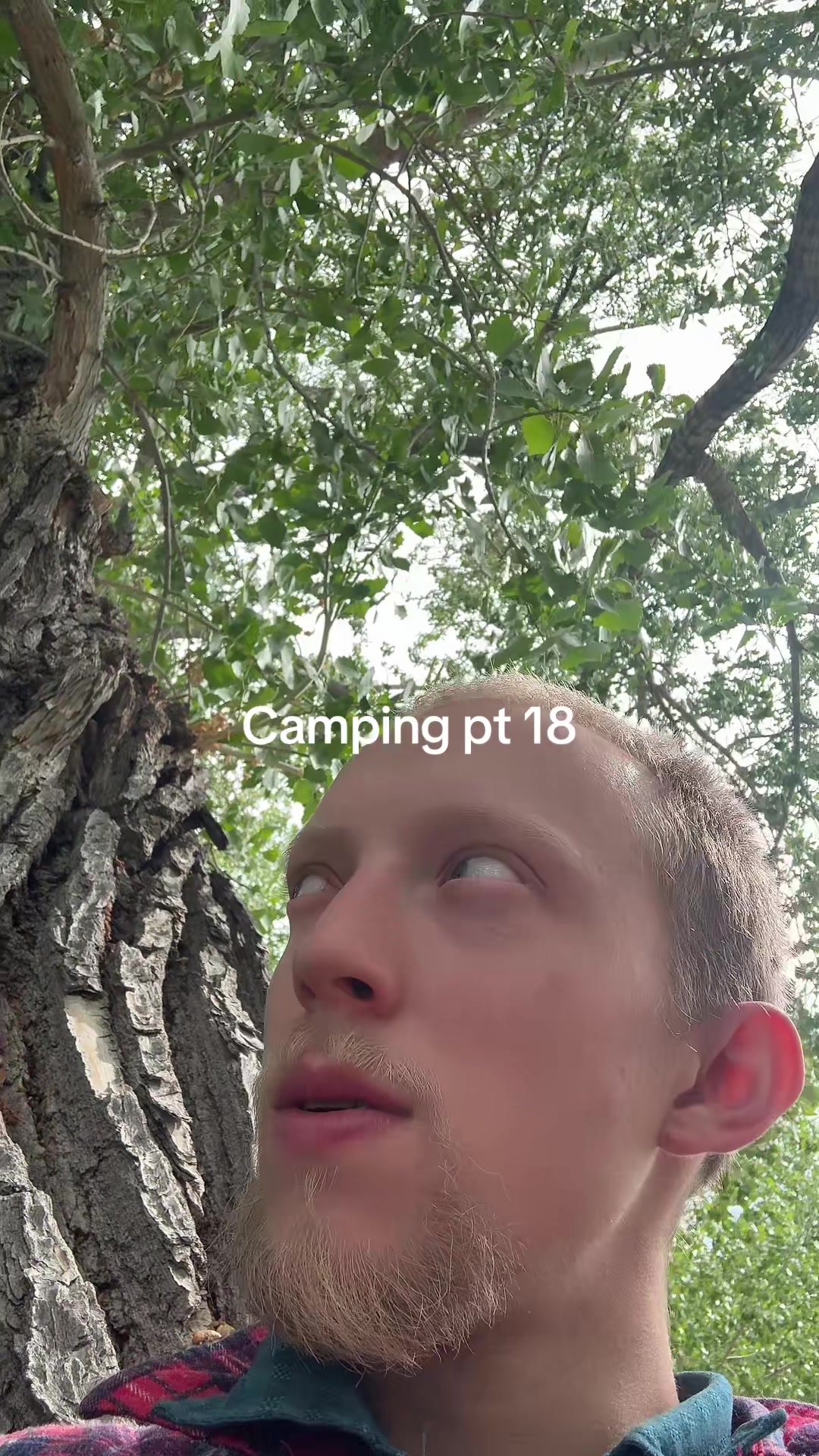 @Sebsmuse