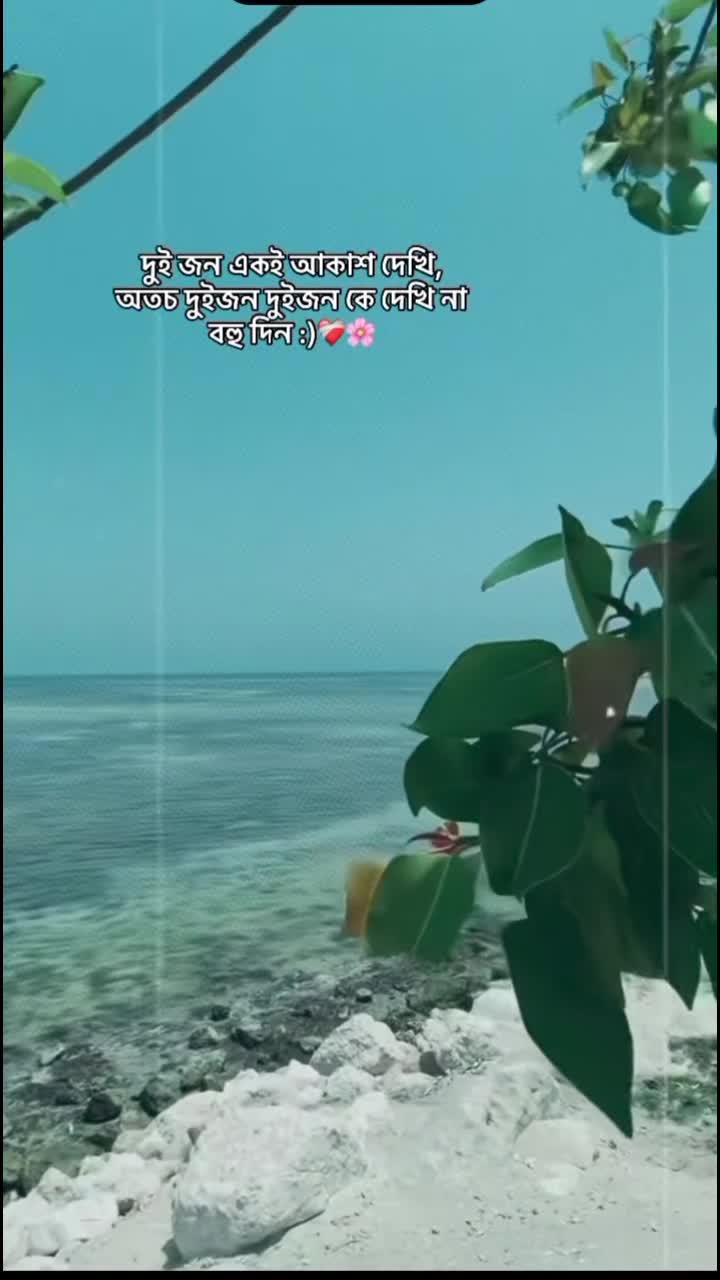 @1️⃣❎ ⊶N⊶O⊶Y⊶O⊶N⊶❎1️⃣
