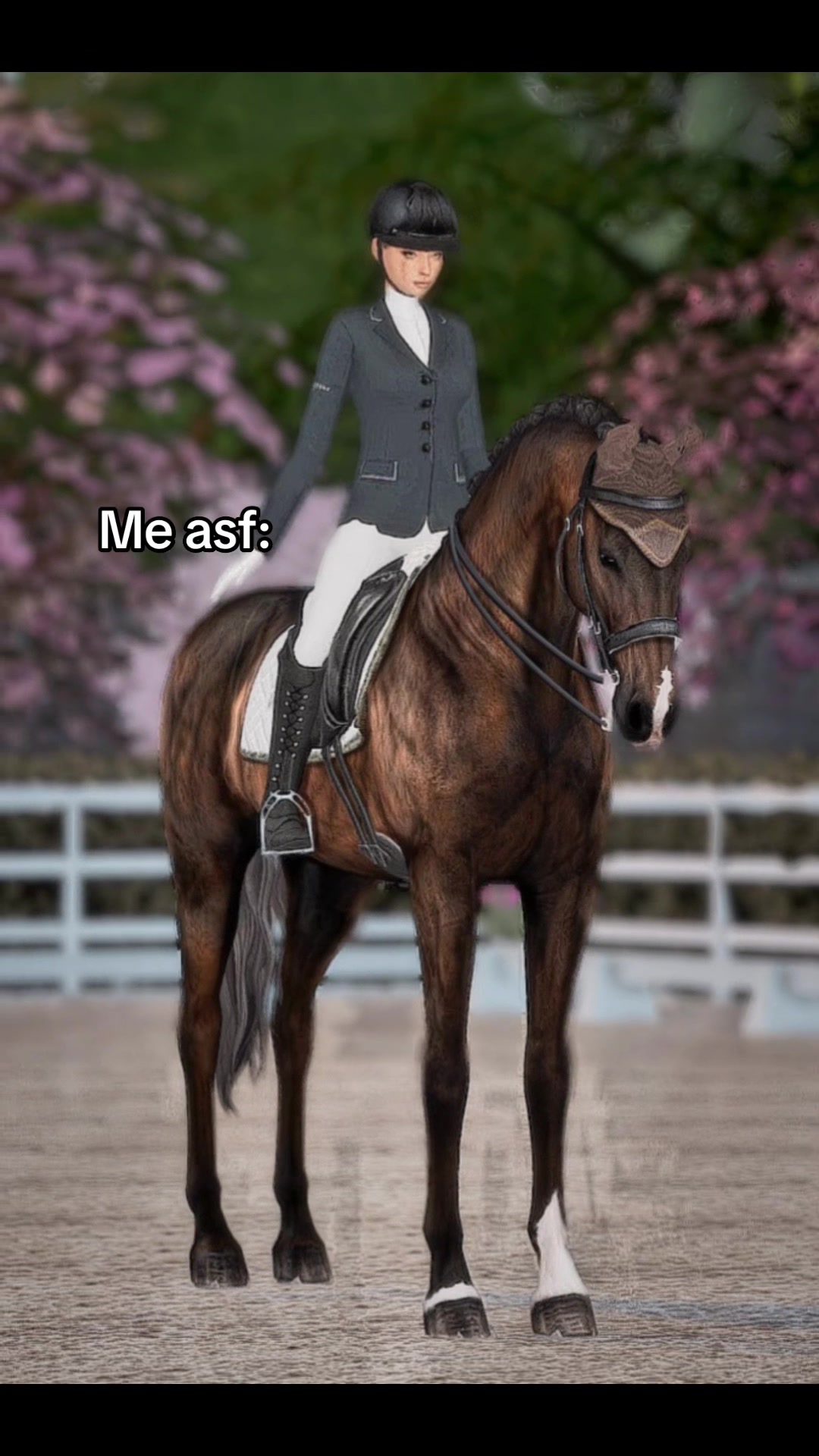 @mainorhillsstud