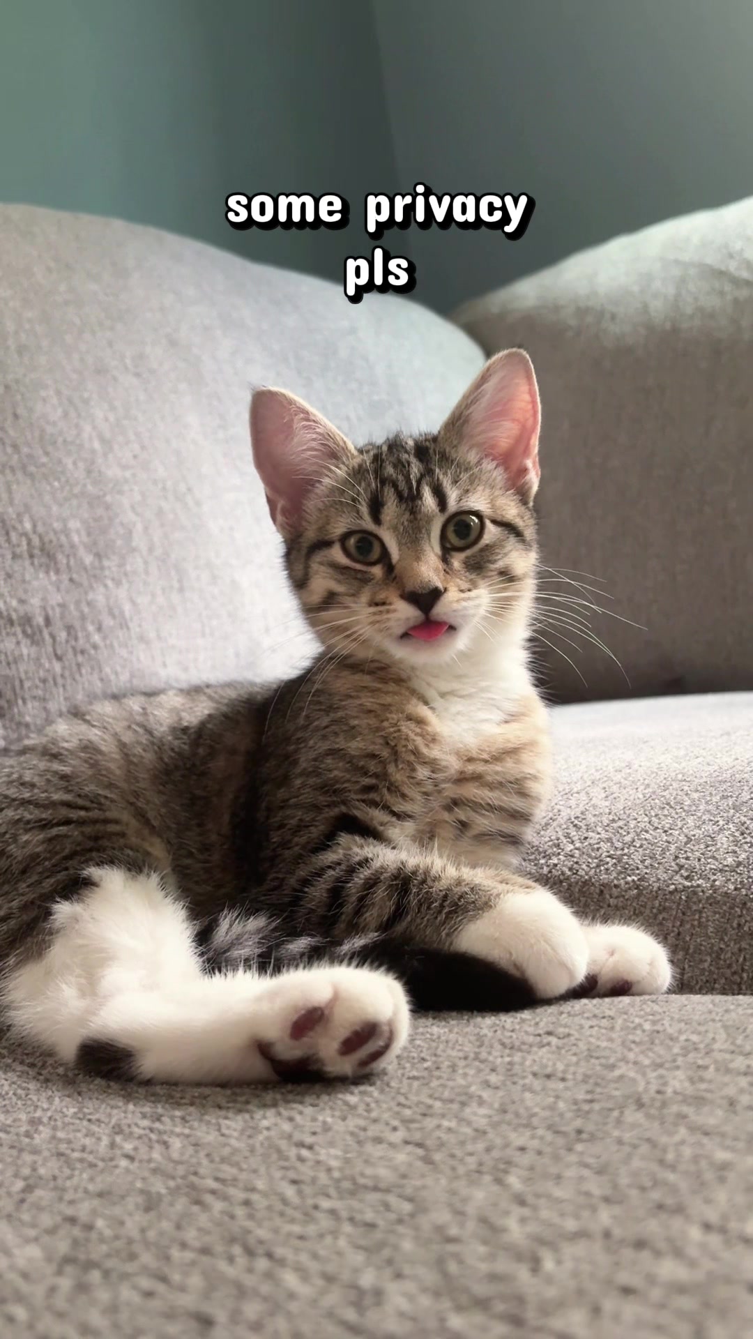 @Juno 💫🐈