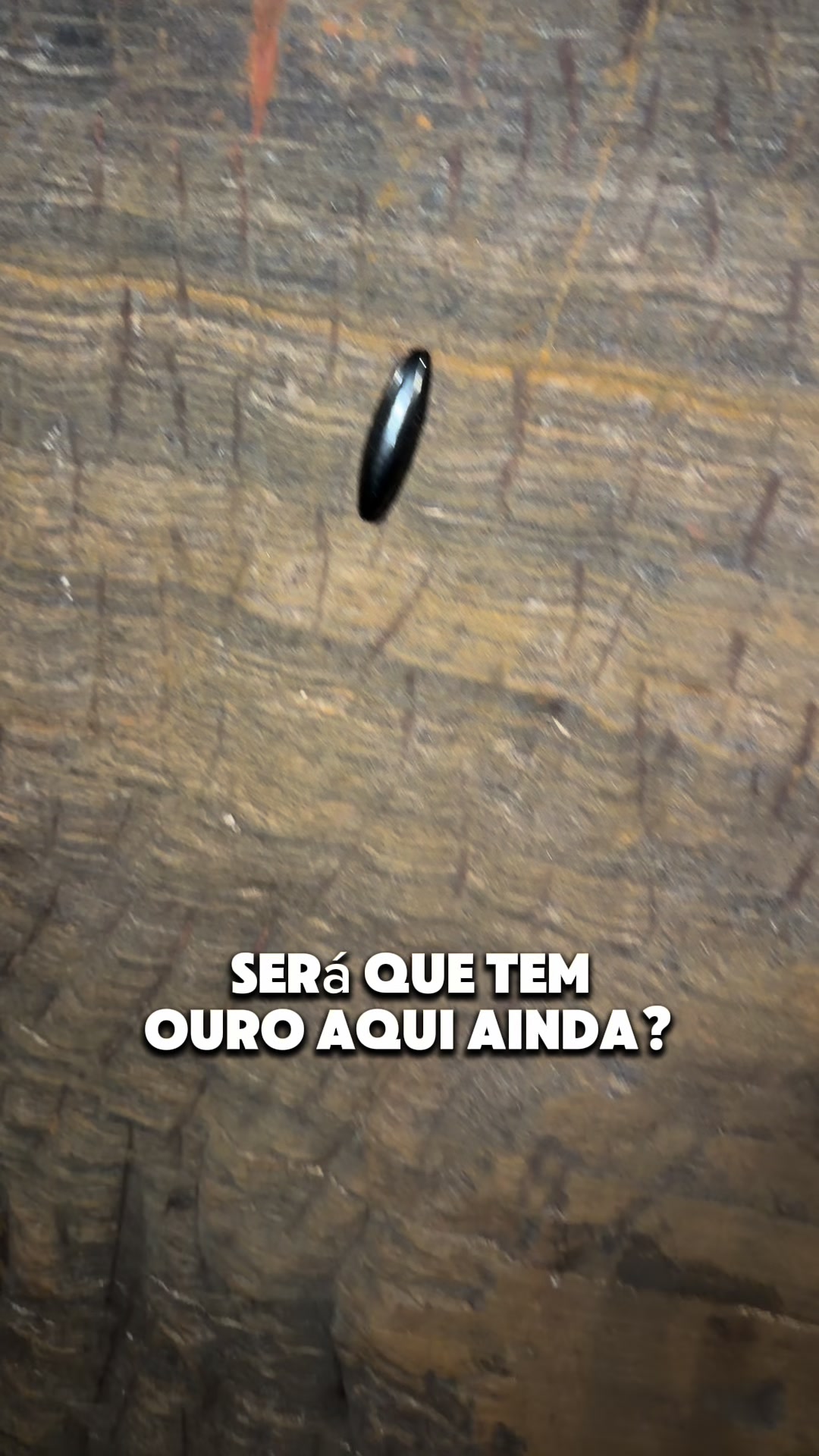 @uaiminerador