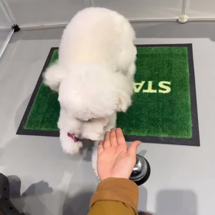 @코우