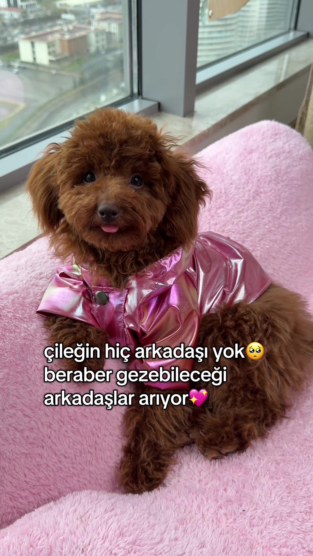 @nilüfer kardelen