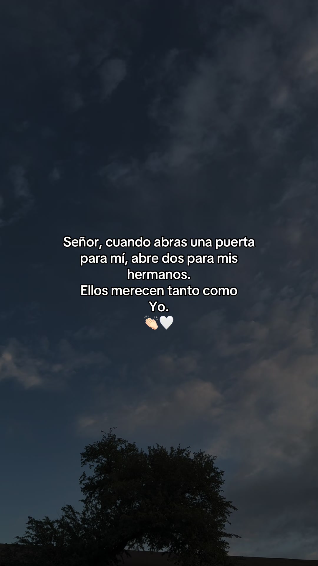 @🌻✨𝐸𝐿𝐼𝒵𝒜𝐵𝐸𝒯𝐻✨🌻