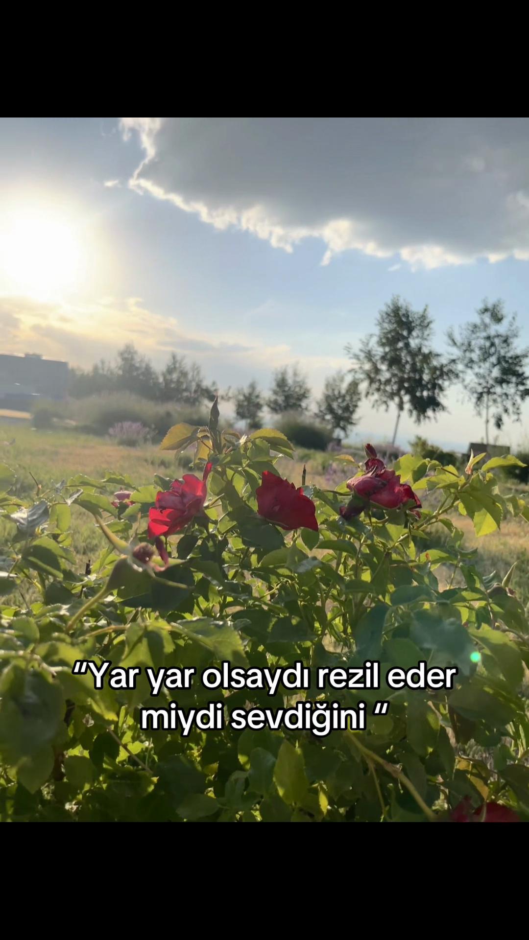 @Iğdır Storyyy