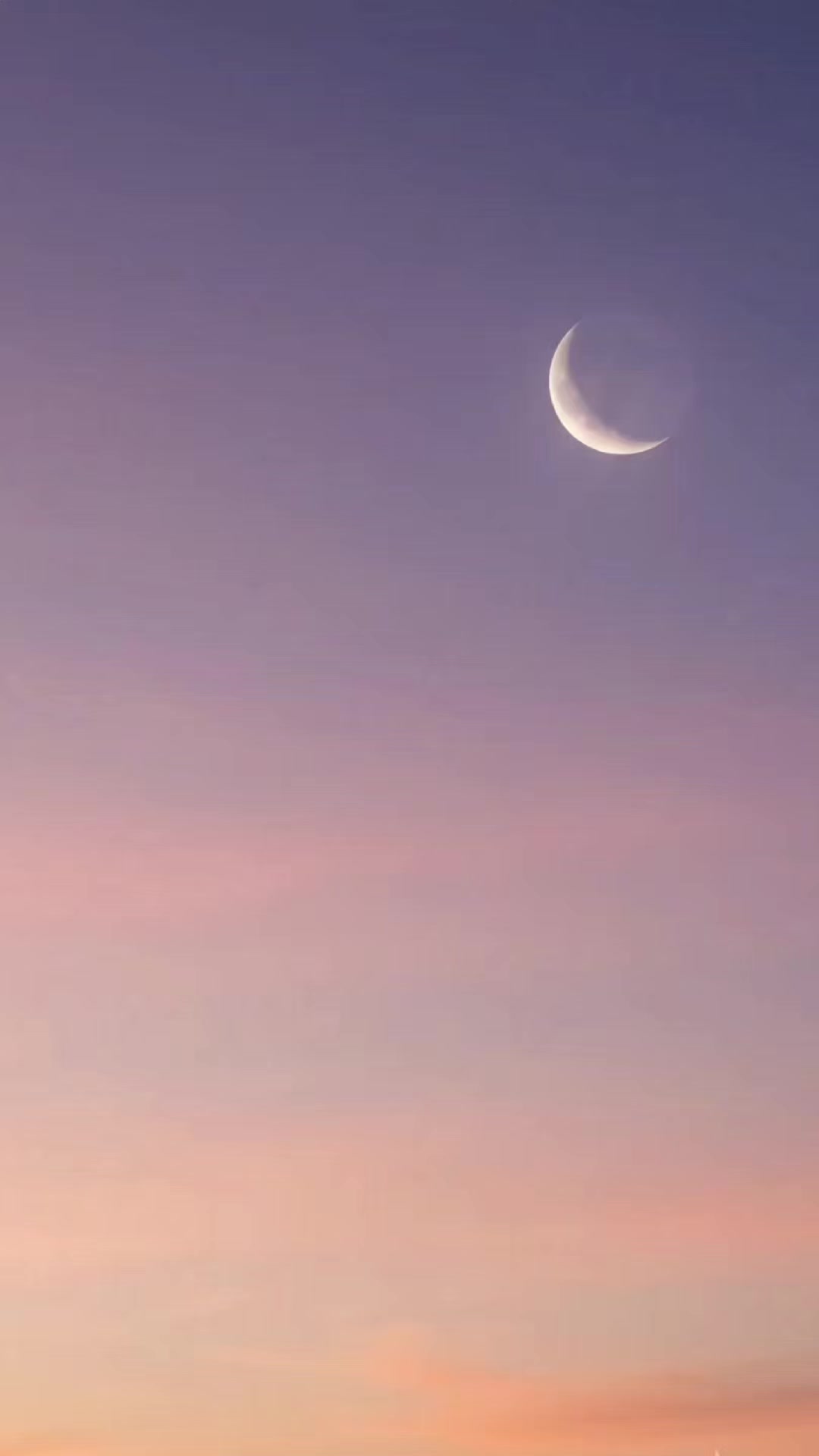 @حيدر الوائلي