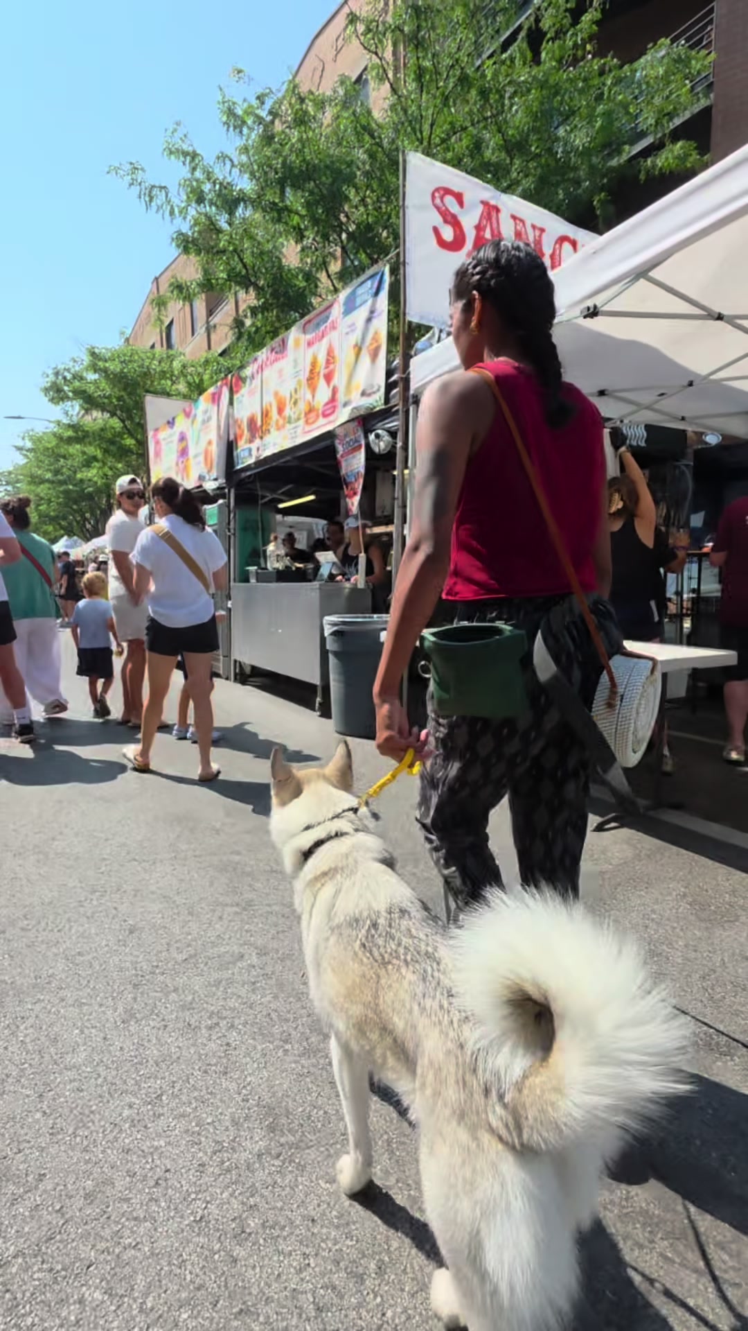 @dogstrainjen