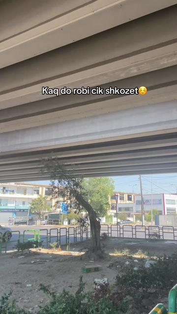 @R I N A 🦅