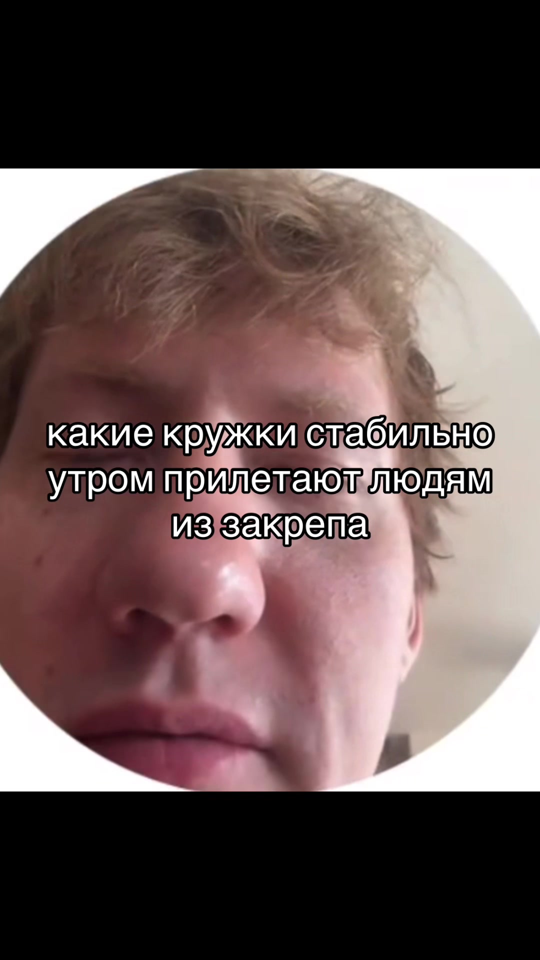 @archiqqeq