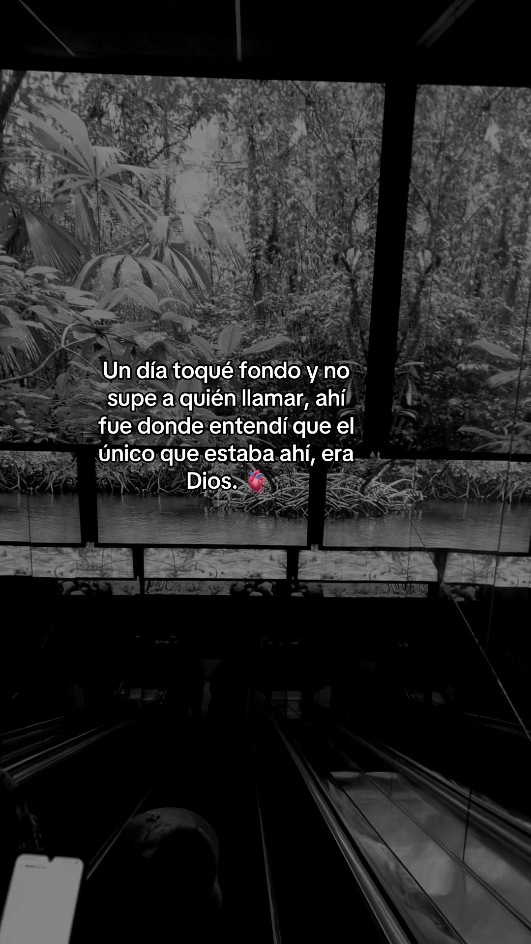 @ABBY ✨💫❤️🖤