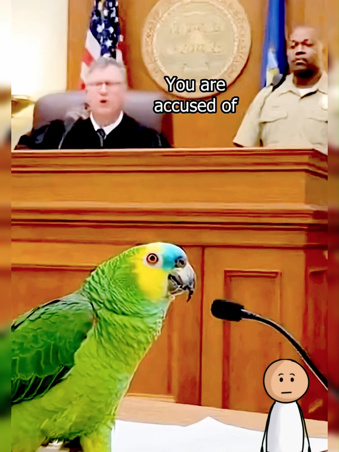 @Funny Animal Voiceover