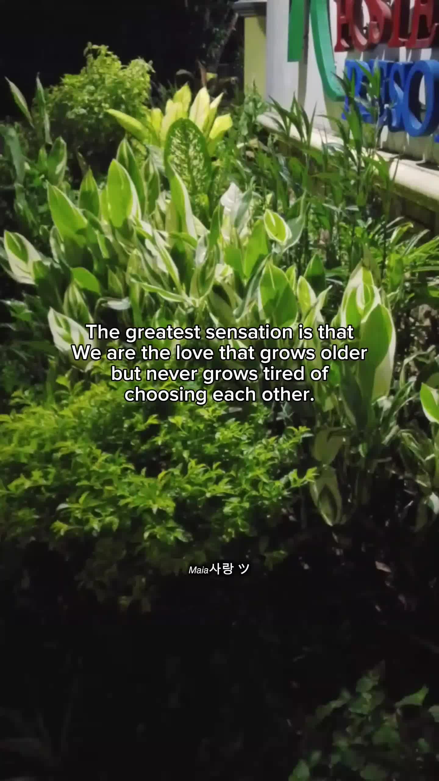 @𝘔𝘢𝘪𝘢사랑 ツ