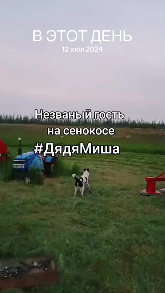 @Radomirovich