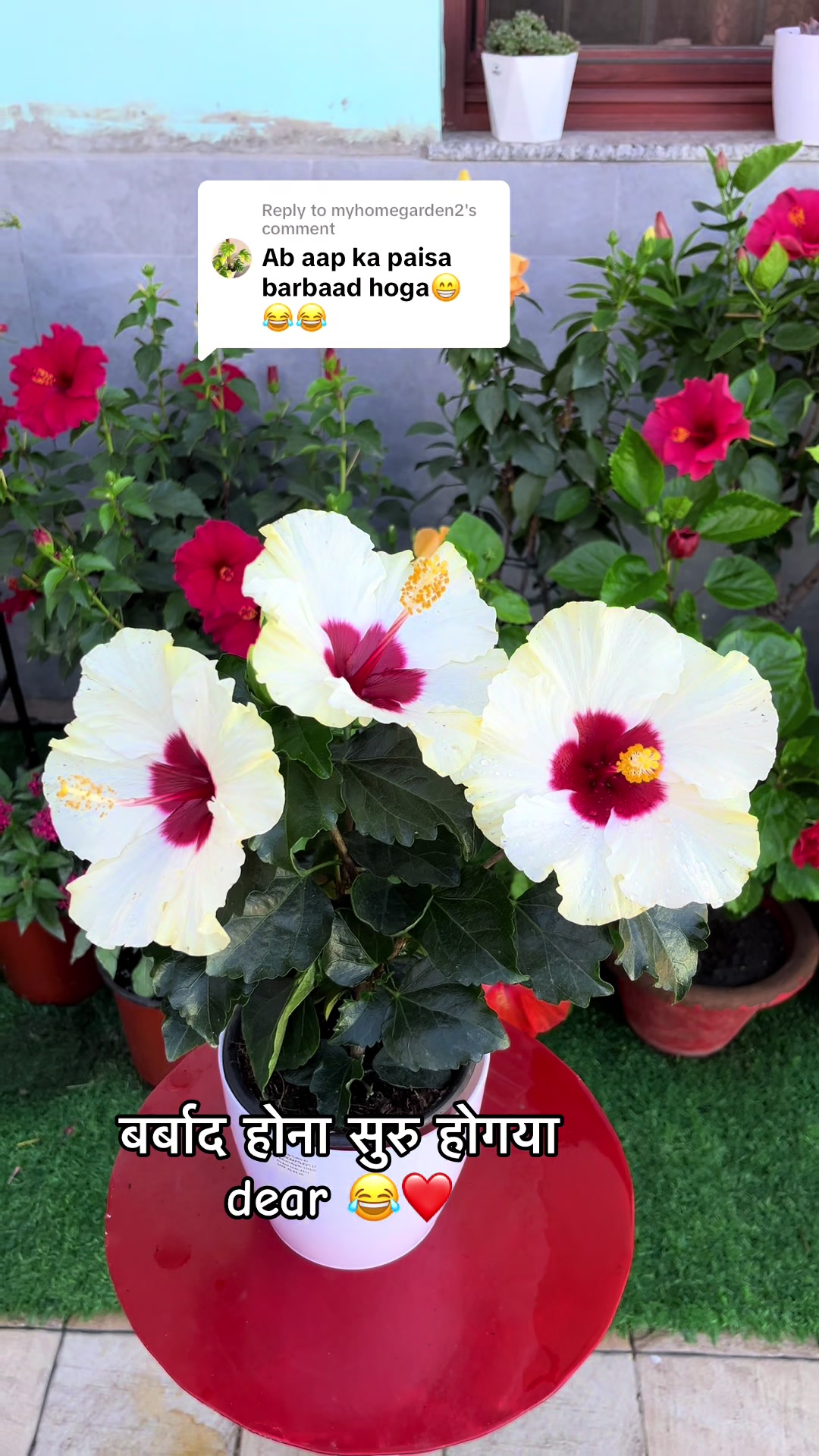 @poonam_shah 🧿🍀
