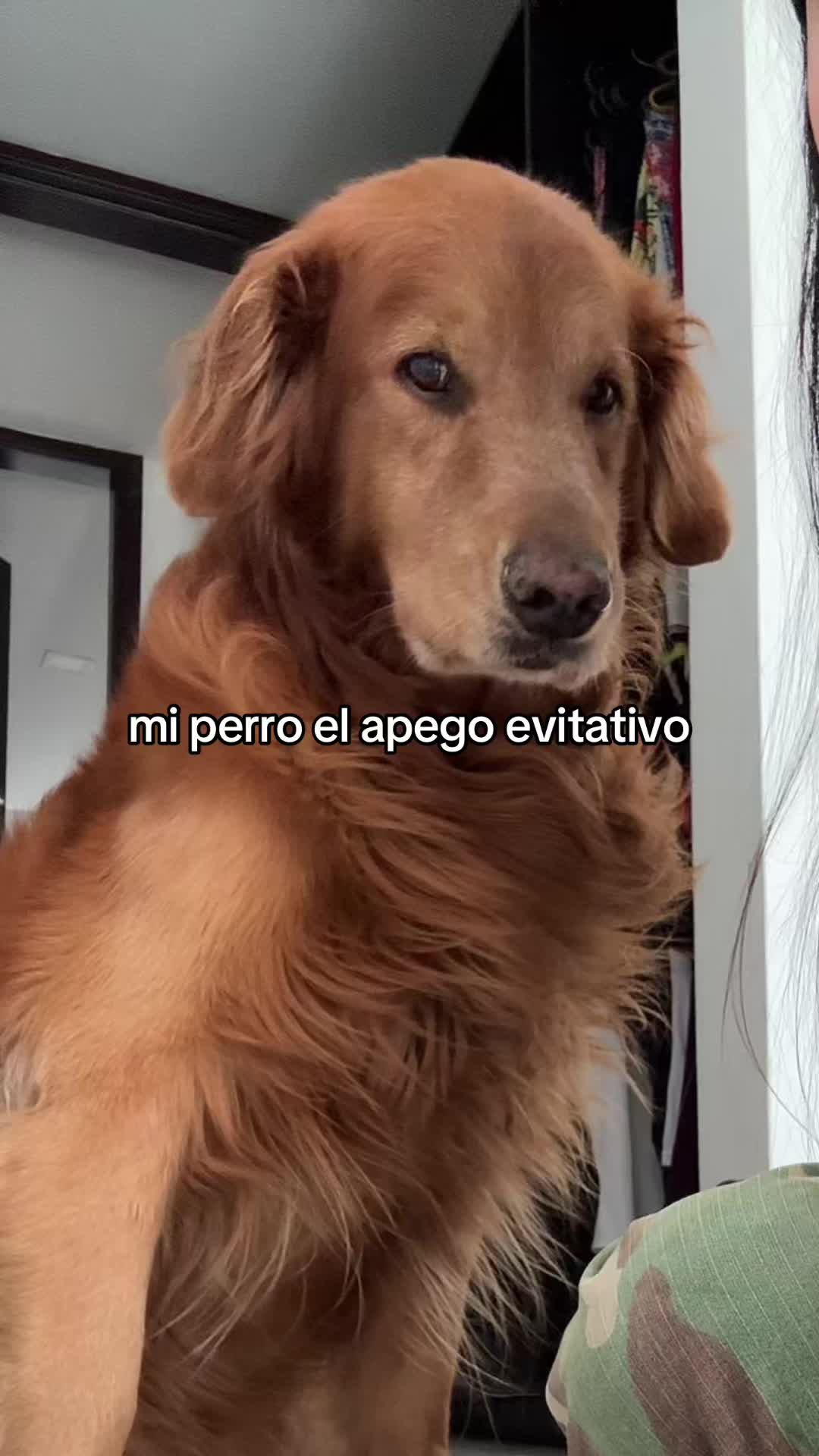 @anabedoya_10