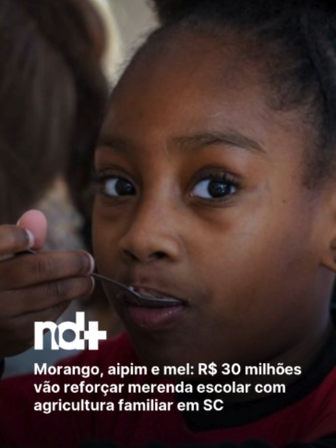 @portalndmais