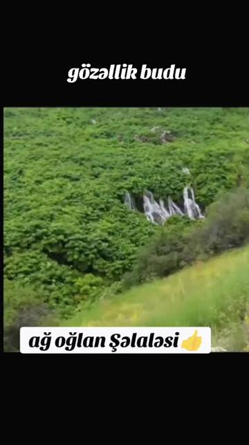 @Yegane.Laçınlı