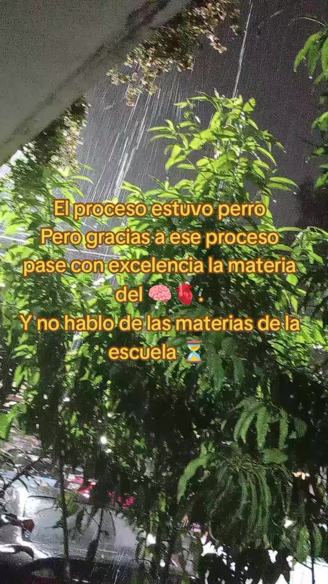 @🪼🏹داي_خواريز🫰🏻🔥