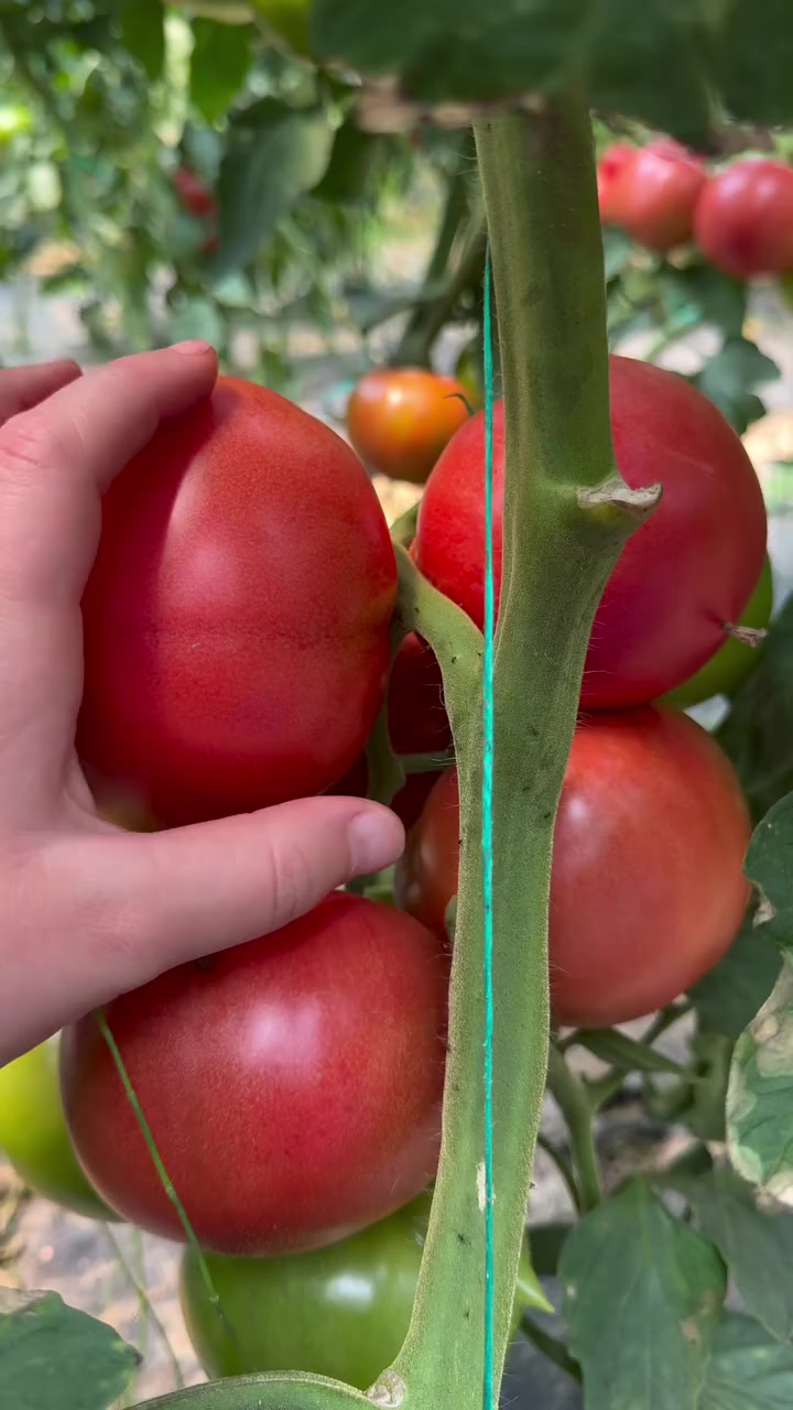 @Zortrax Agriculture Inc