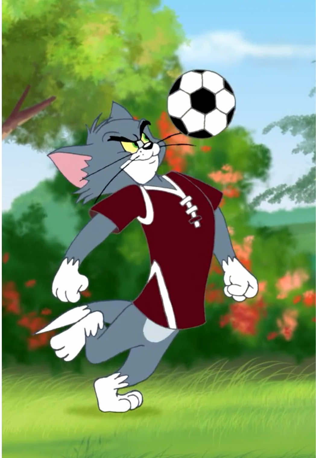 @Tom and Jerry