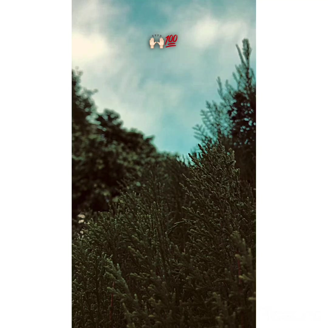 @پنجاب ❤️🩹